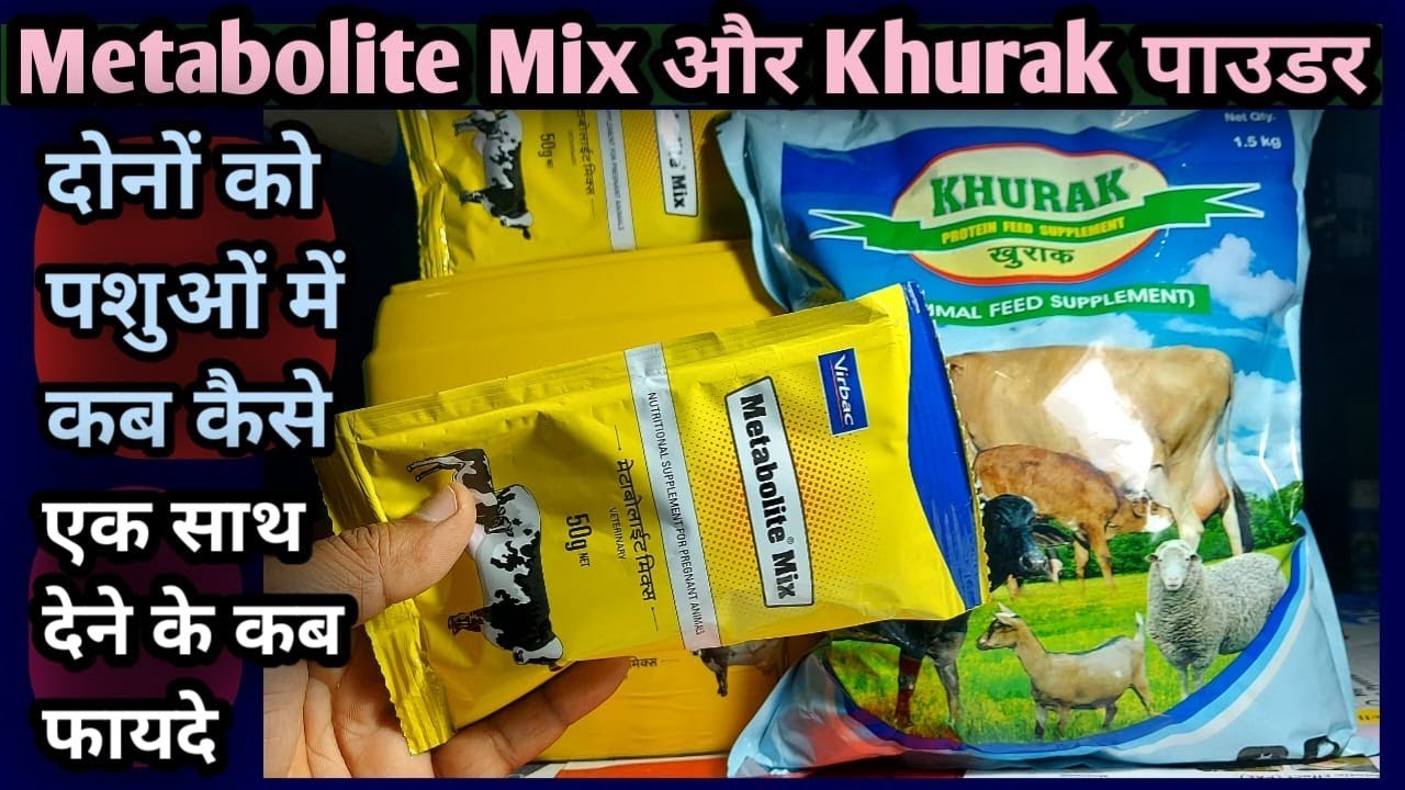 Metabolite Mix Powder और Khurak Protein Powder||✌दोनों को एक साथ कब कैसे पशुओं को खिलाएं👉