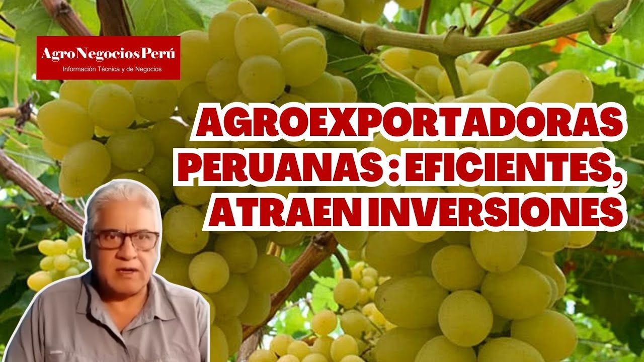 Agroexportaciones peruanas despiertan celos y atraen inversiones