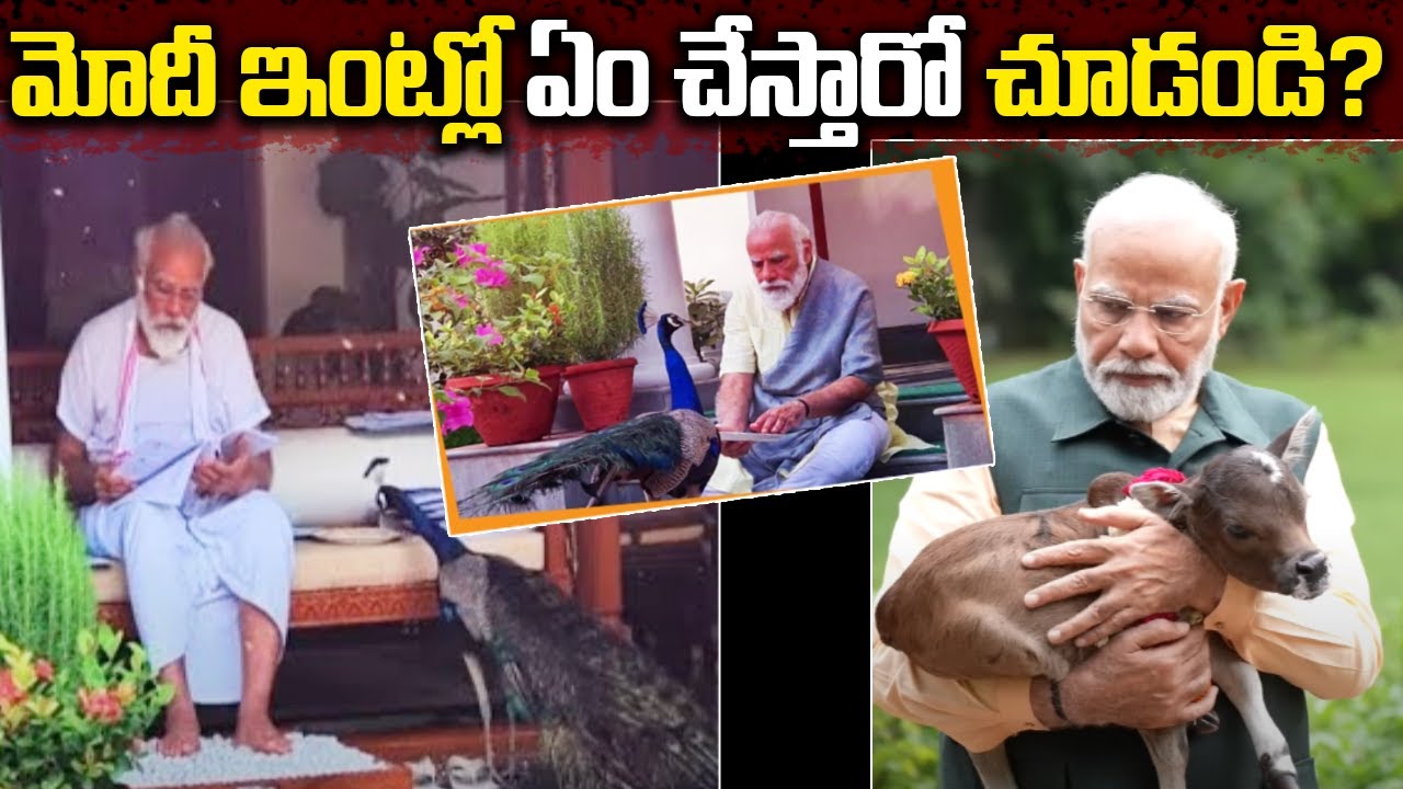 Inside Modi's Extravagant Lifestyle | మోదీ ఇంట్లో ఏం చేస్తారో చూడండి? | Telugu Ammayi