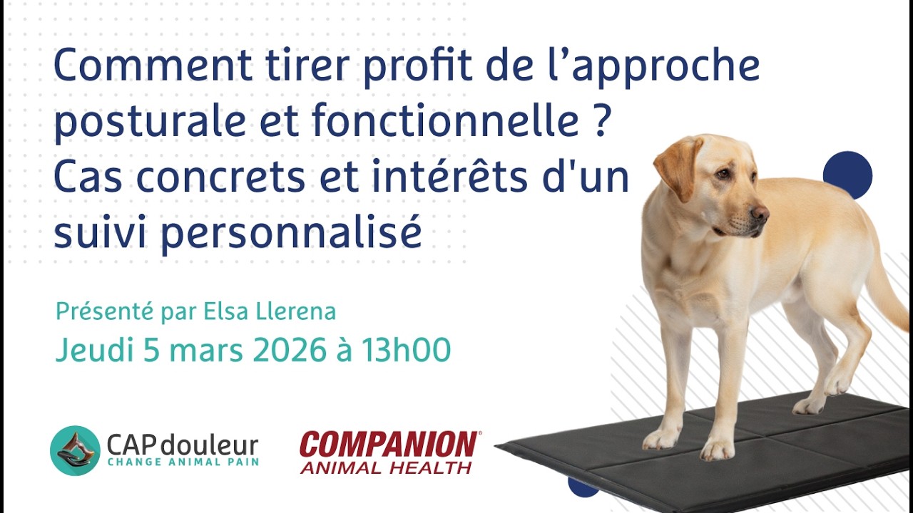 Douleur et posture - avec Companion Health