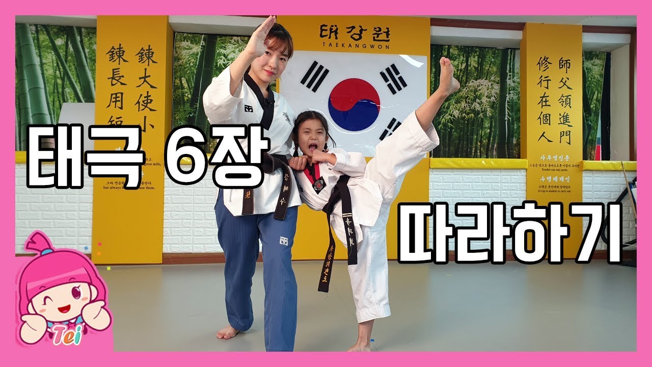 [태권도]품새 따라하기 '태극6장' 홈트레이닝 태권도 거울모드 TAEKWONDO.TEI