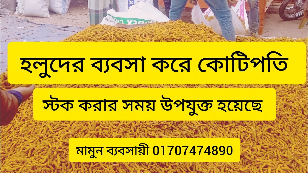 30 January 26  রোজ শুক্রবার।uolo কৃষকের পরিশ্রম কাজে লাগছে ইনশাআল্লাহ হলুদের দাম আগুন 🔥🔥🔥🔥