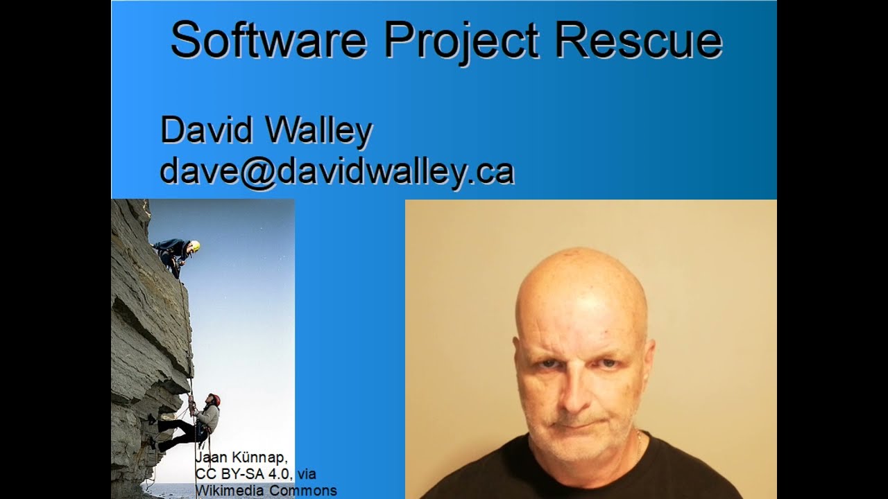 Software Project Rescue - Fix or Abandon
