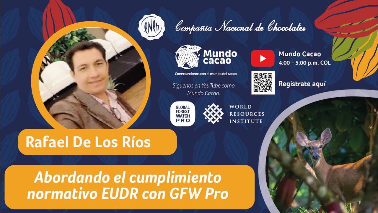 Charlas virtuales: Abordando el cumplimiento normativo EUDR con GFW Pro