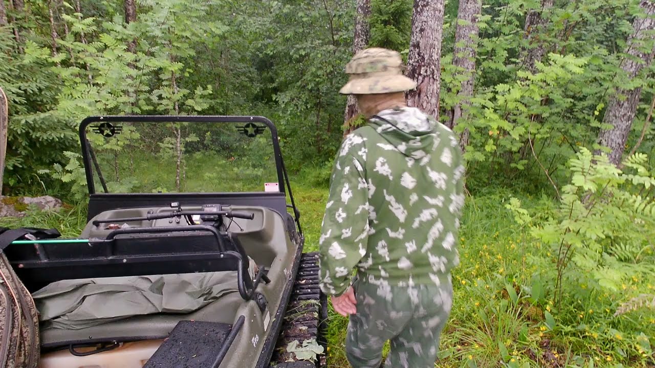 На Арго по лесу (Лен.обл.).