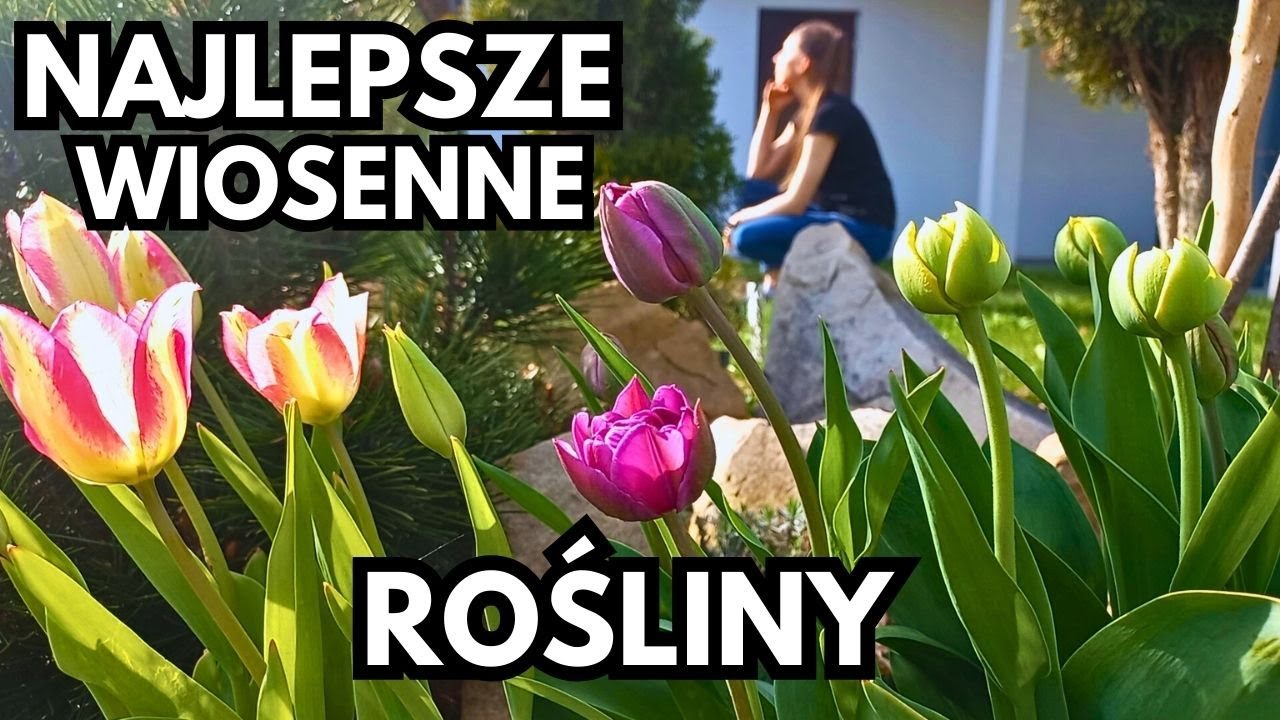Byliny, krzewy, drzewa i cebulowe najładniejsze wiosną. Spacer po ogrodzie
