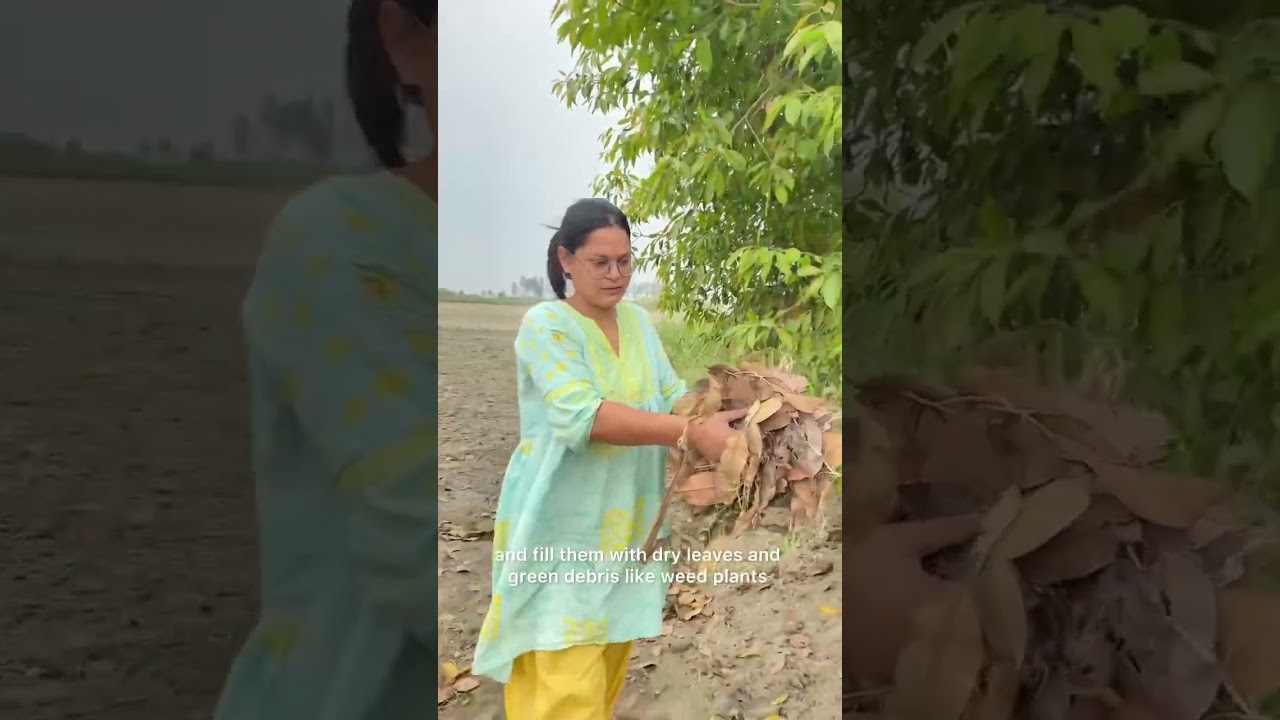 Compost dried leaves for soil fertility #organiclife