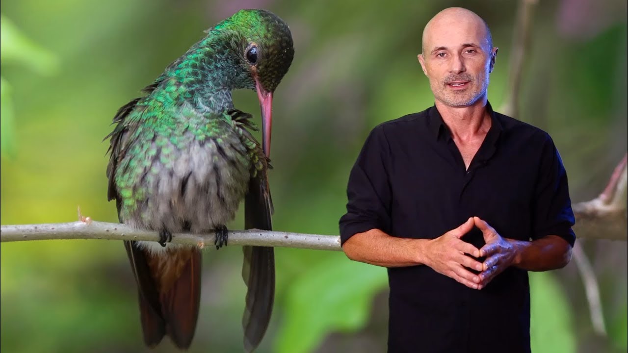 Comment obtenir un maximum de piqué sur ses photos ?