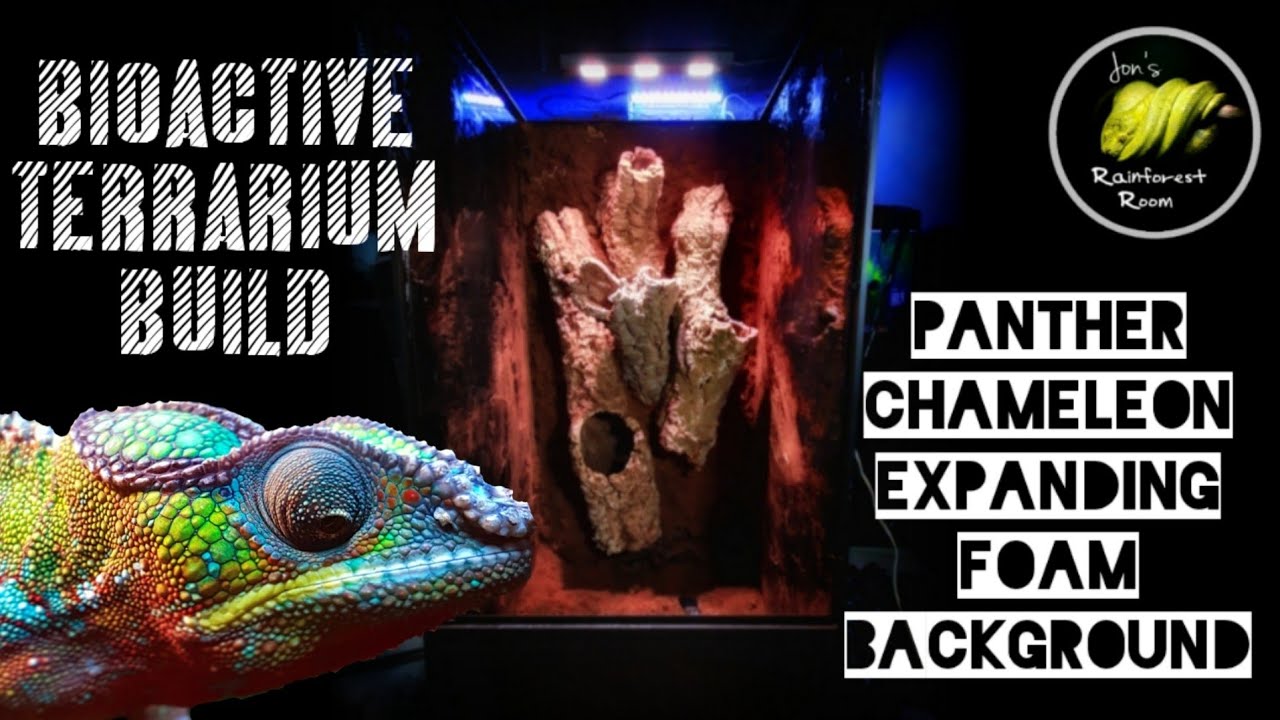 Panther Chameleon Bioactive Vivarium Build
