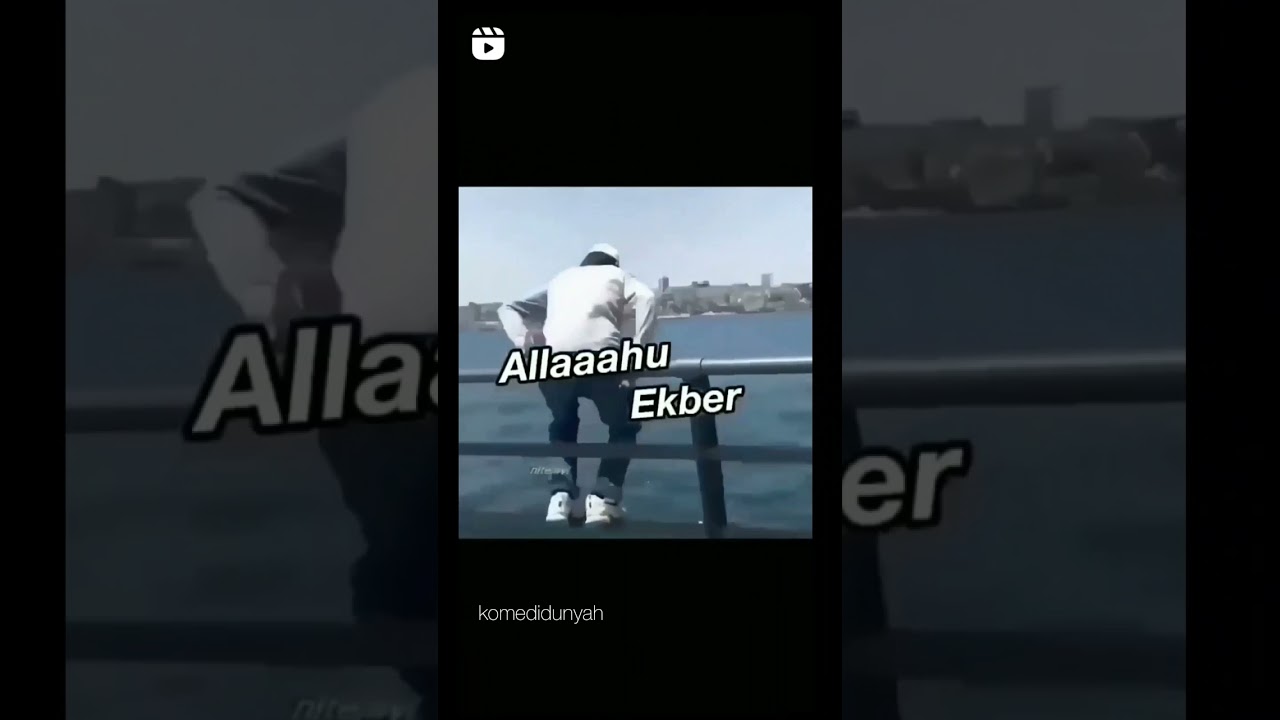 alah vekder