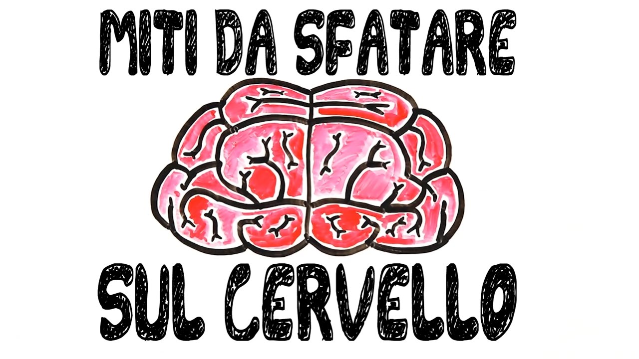7 miti da sfatare sul cervello