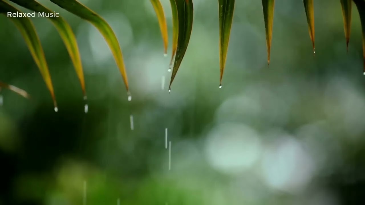 10 Hours of Relaxing Music - Sleep Music with Rain Sound, Piano Music for Stress Relief