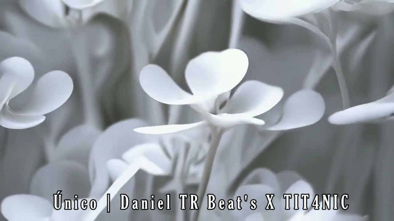 Único | Daniel TR beat's X TIT4NIC