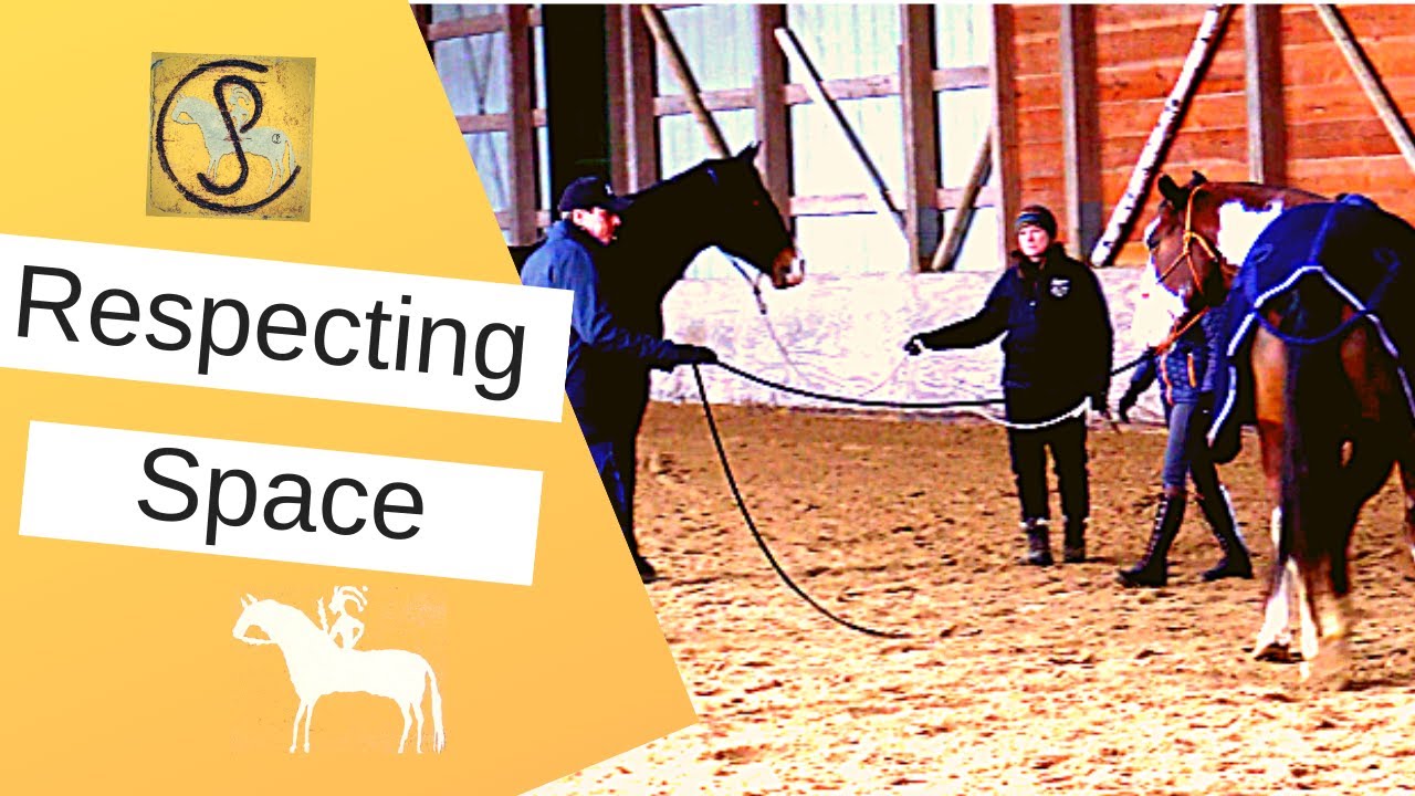Get Your Horse To Respect Your Space And More!