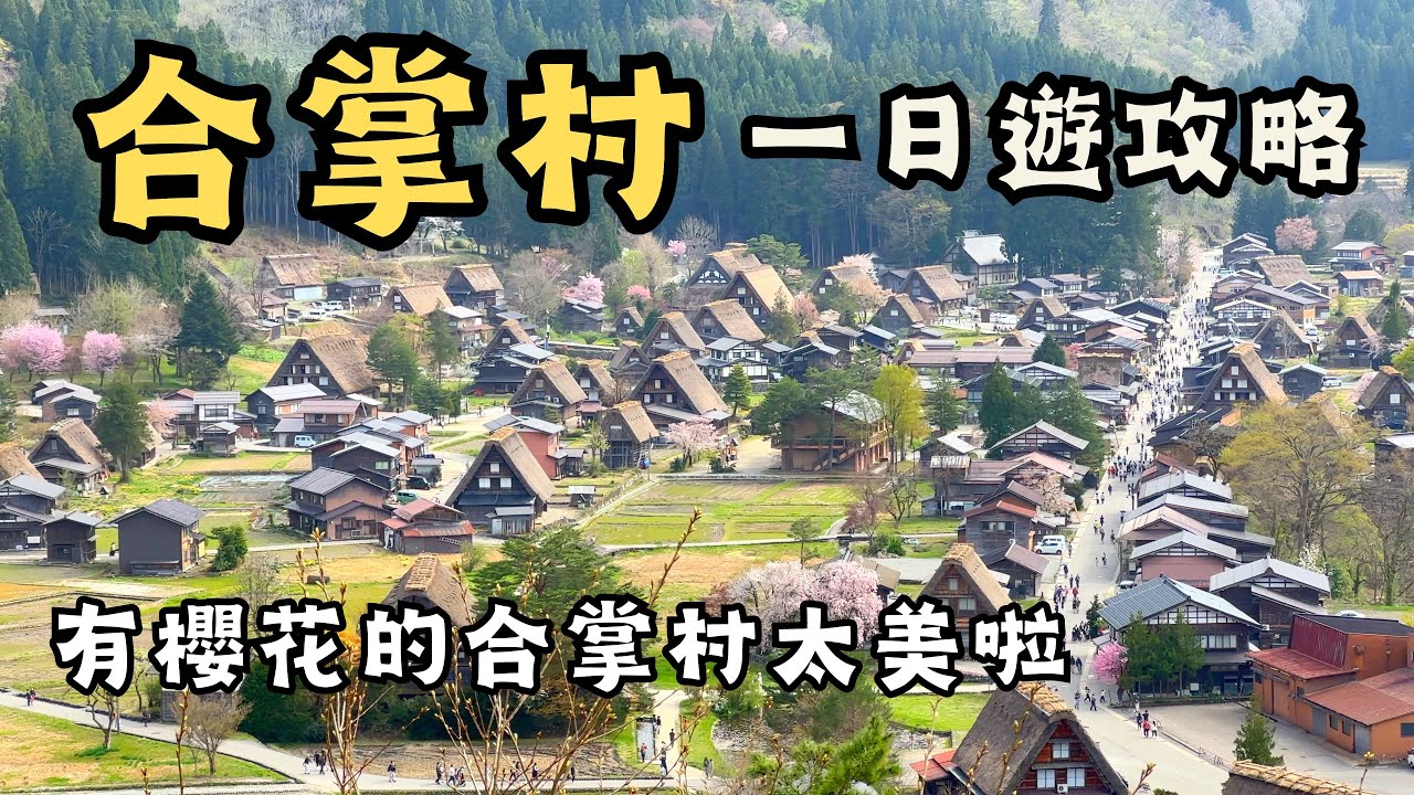 【日本合掌村自由行】🌸櫻吹雪的合掌村太美啦，捨麼時候來看得到？｜合掌村景點介紹｜必去的城山天守閣展望台｜世界遺產｜白川八幡神社｜白川鄉三小屋｜最大合掌造和田家｜日本vlog｜日本自駕｜日本中部景點