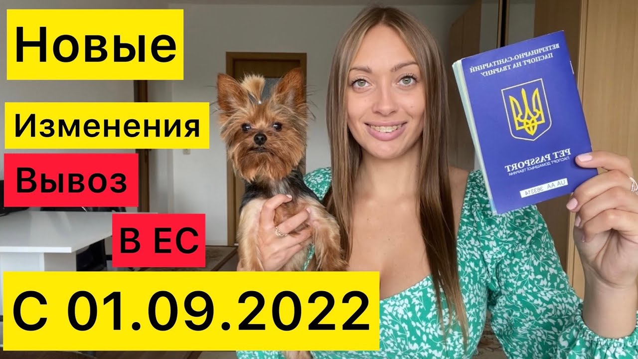 Вывоз ЖИВОТНЫХ заграницу! Документы,ОСТОРОЖНО РАЗВОД НА ДЕНЬГИ 💰Личный опыт
