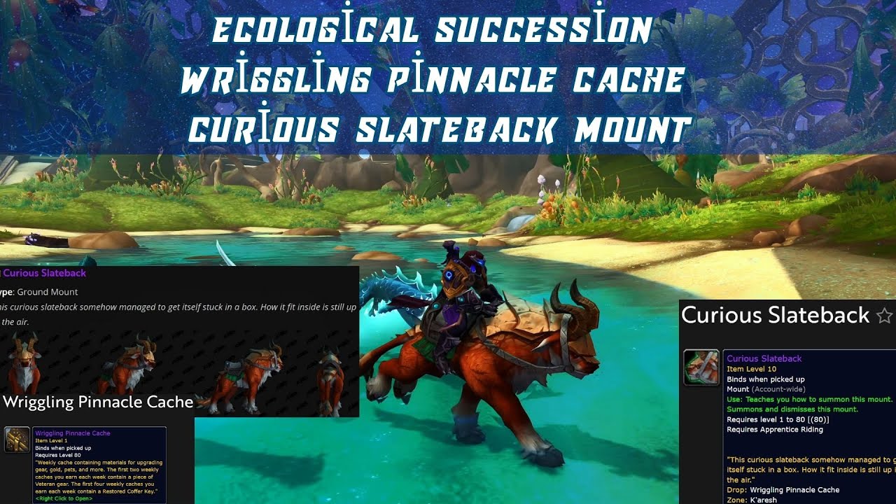 How to complete Ecological Succession Quest | Wriggling Pinnacle Cache | Curious Slateback Mount