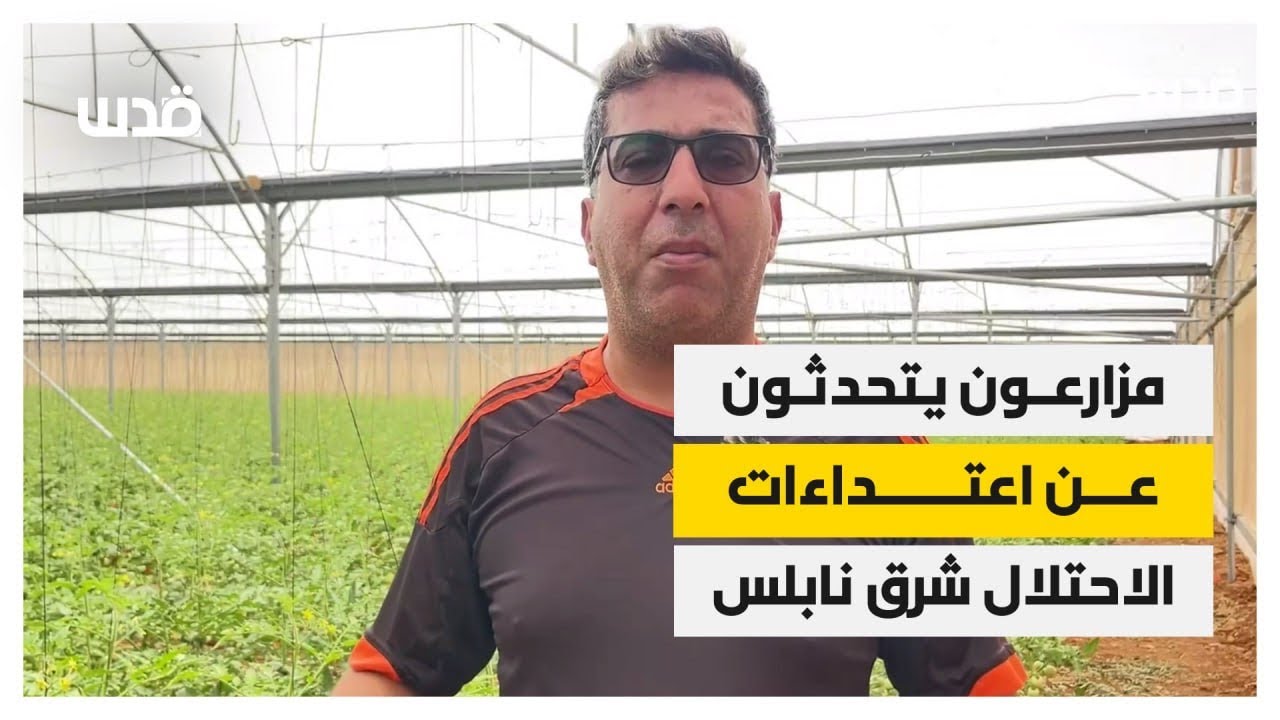 مزارعون من بيت دجن شرق نابلس يتحدثون عن اعتداءات الاحتلال على محاصيلهم الزراعية 
