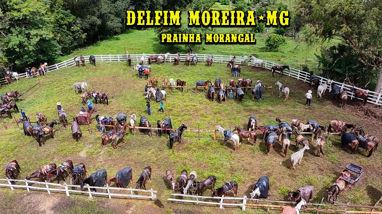 A CONCENTRAÇÃO DOS CAVALEIROS E TROEPEIROS EM DELFIM MOREIRA MG