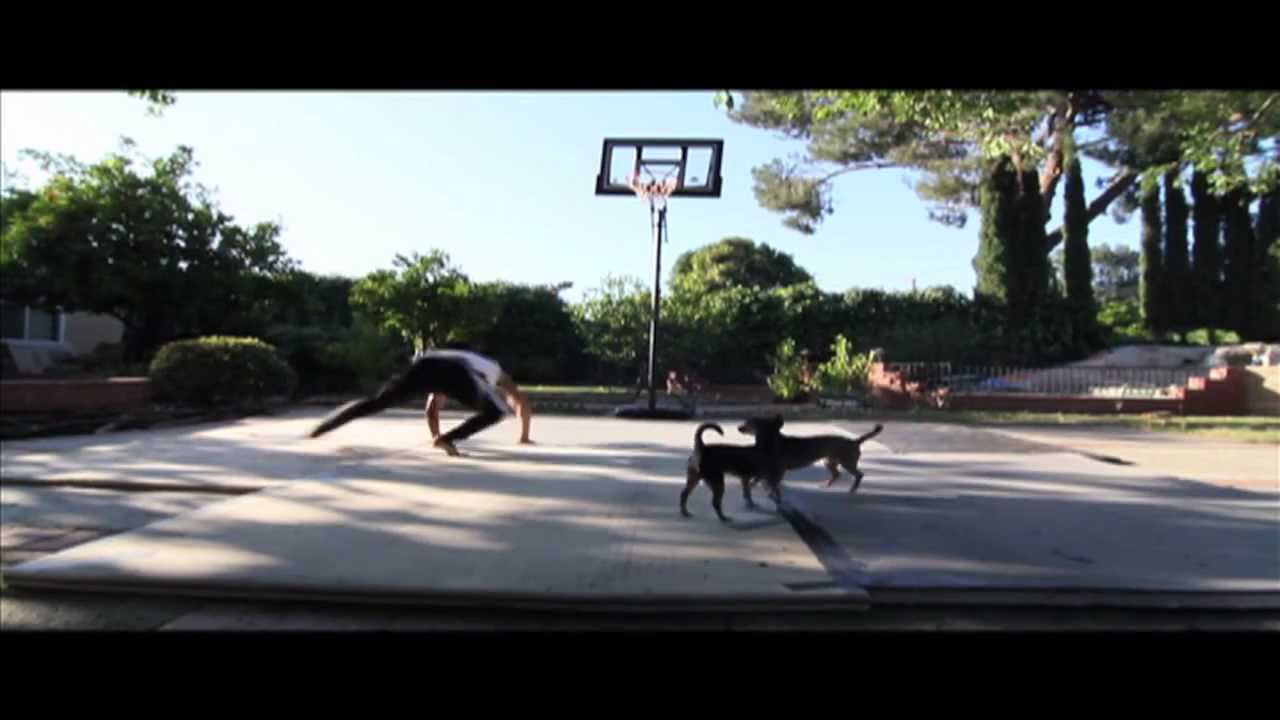 Travis Wong - Backyard Basics