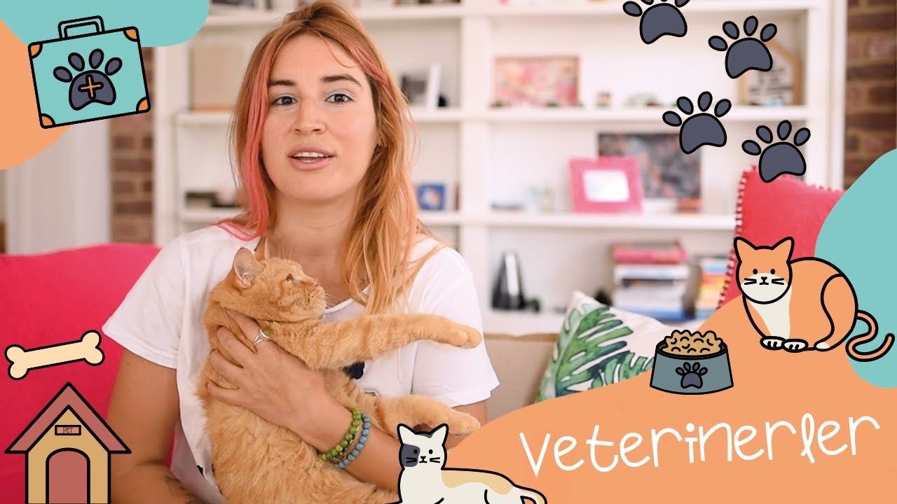 Veterinerler... Veterinerler... 🐾 💆🏼‍♀