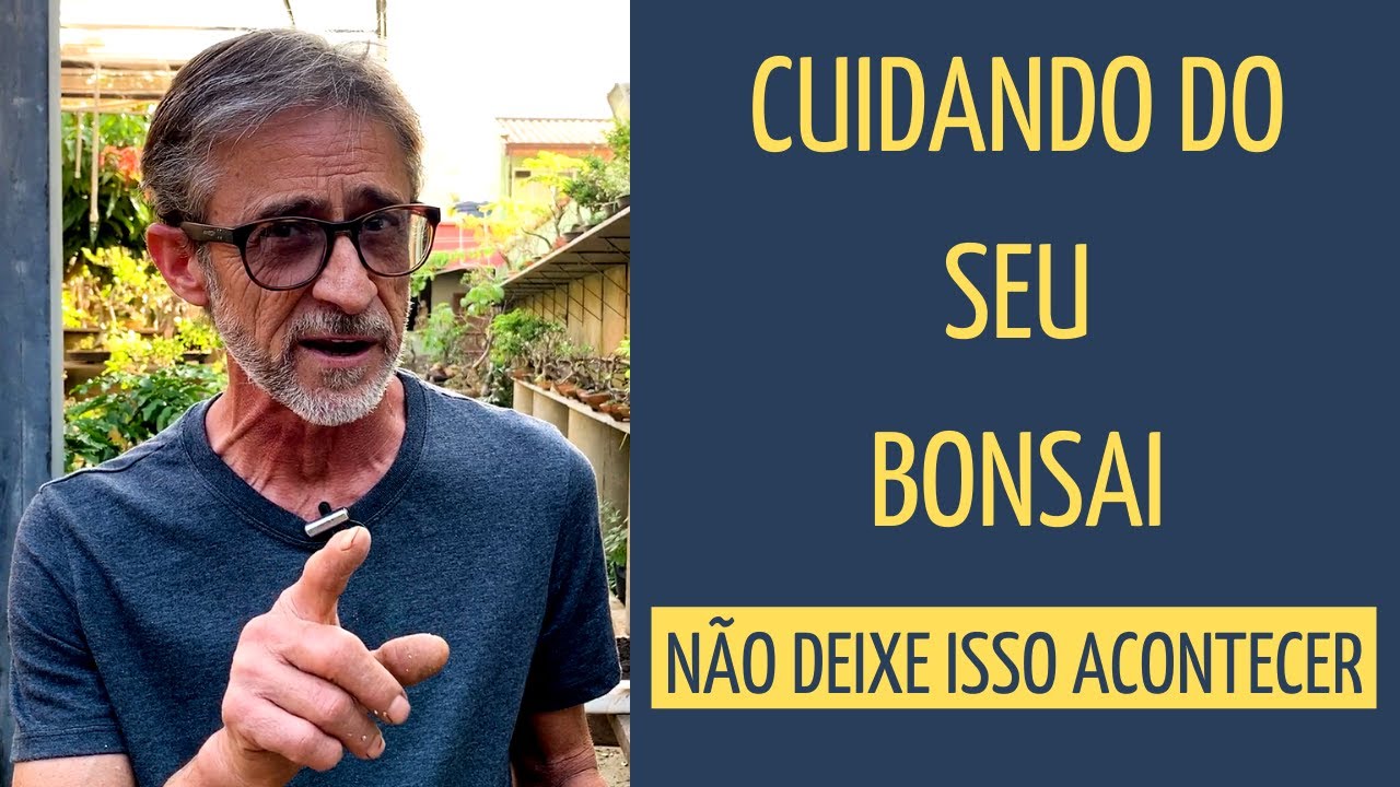 Cuidando do SEU BONSAI - NÃO deixe isso acontecer.