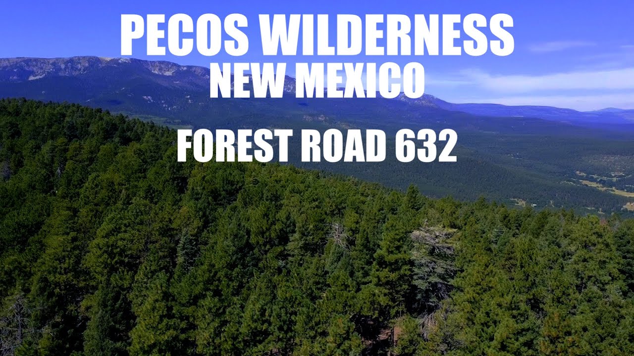 NEW MEXICO PECOS WILDERNESS / FOREST RD 632
