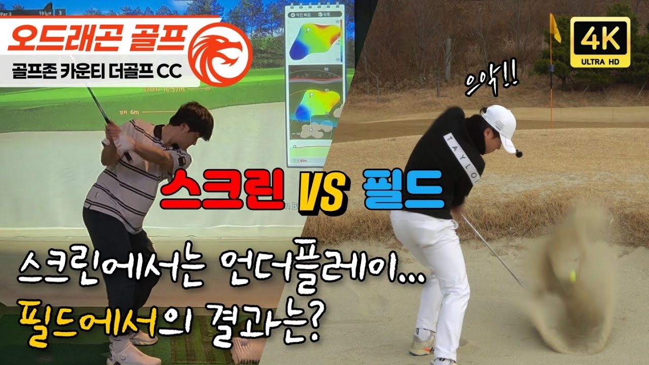 [스크린 vs 필드] 직접 비교해봤습니다(1편) / 더골프 cc