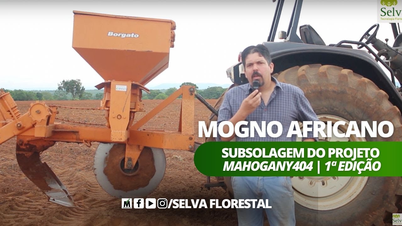 Subsolagem feita, agora é plantar o Mogno Africano no projeto MAHOGANY.