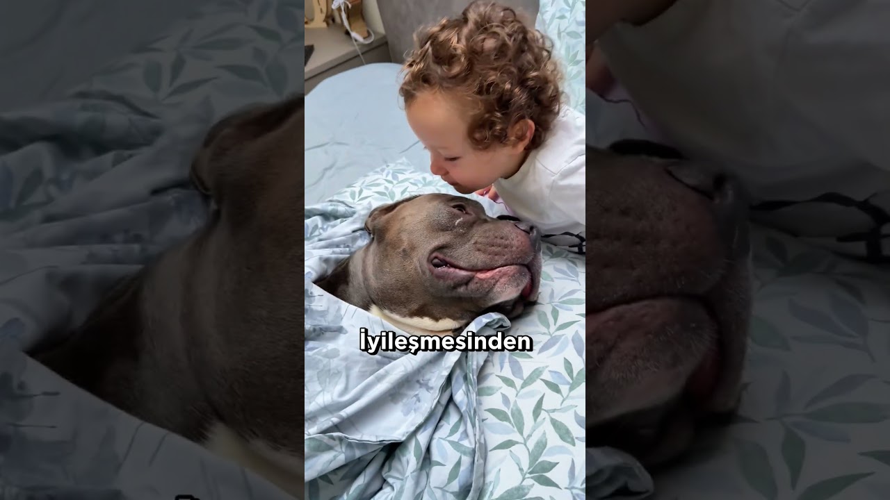 K&ouml;pek Ve Bebeğin İnanılmaz Dostluğu.. 🐾 ❤️