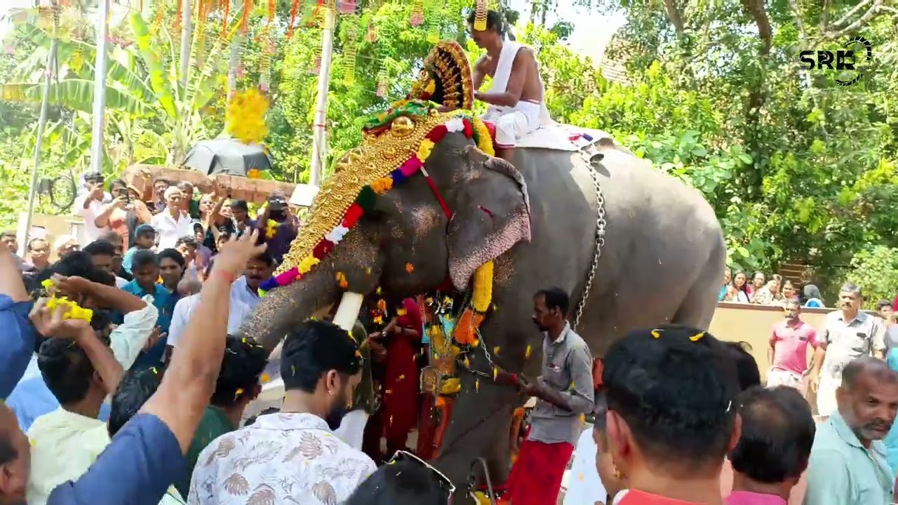 Sreekuttiyankkavu Pooram Minaloor Desham 2026 Athani Thrissur/Ukkans Kunju Kerala Elephant Festivals