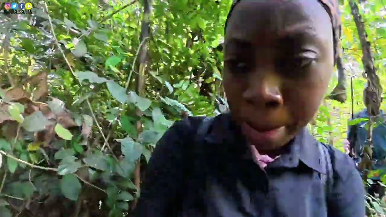 You Won’t Believe What Ibadan Hunters Caught in the Forest! 😱 | African Bushmeat Hunting 