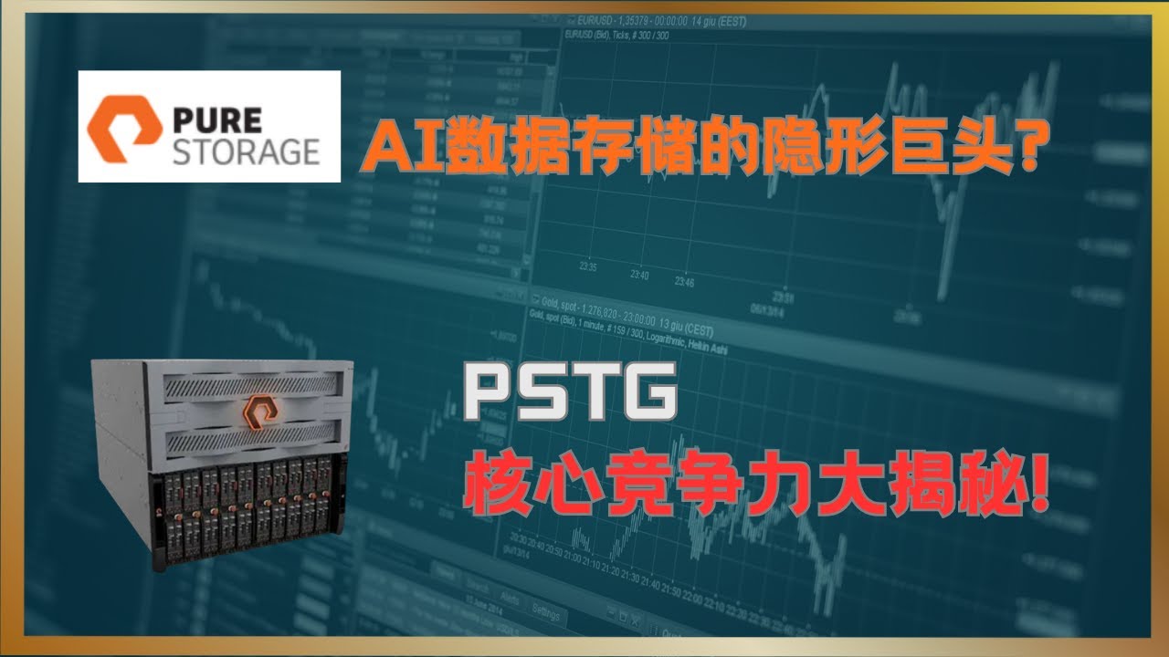 数据存储巨头 Pure Storage深度分析 | 215倍市盈率值不值？#PSTG #Pure Storage #数据存储 #云存储 #数据管理 #股票分析 #NVIDIA #Meta #AI投资