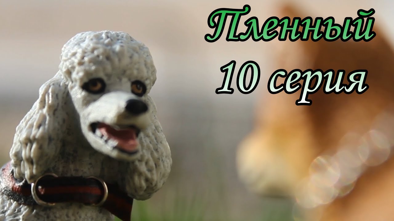 Пленный 10 серия шляйх сериал про Волков