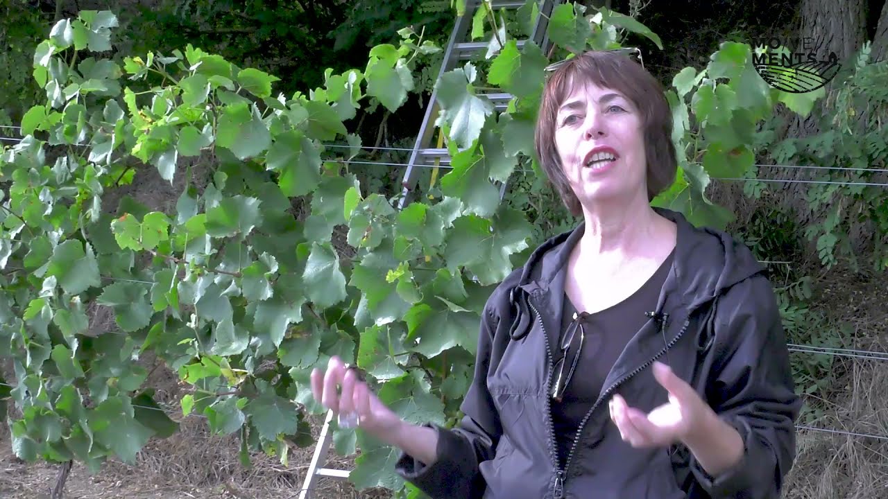 Mo/ve/ments 2021 - Kunstwanderweg in Schornsheim