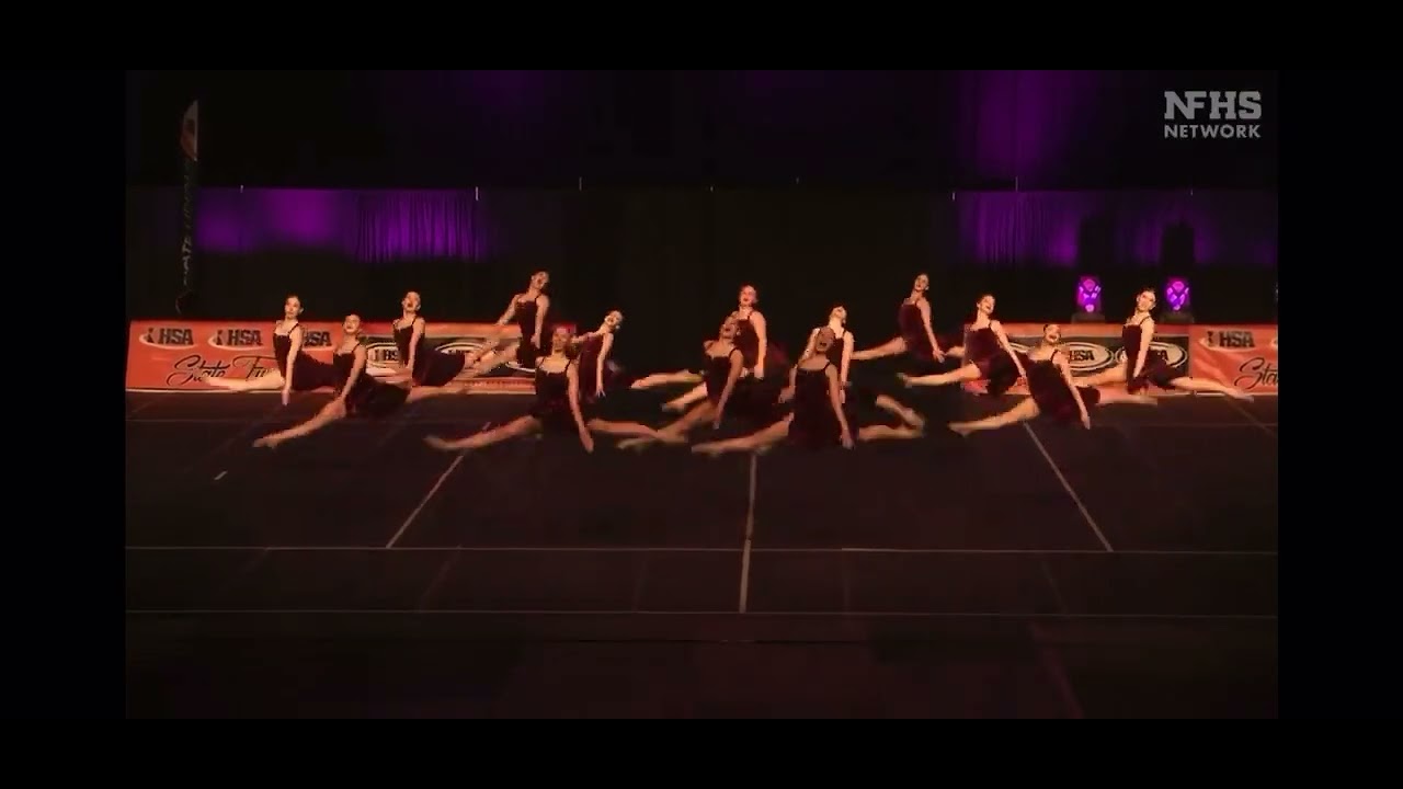 2023 Minooka Varsity Dance Team “Sign of the Times.”