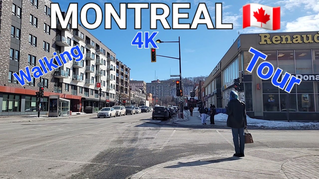 Montreal Winter 2026 4K Walking Côte des Neiges Street To The Grills of the Oratory 