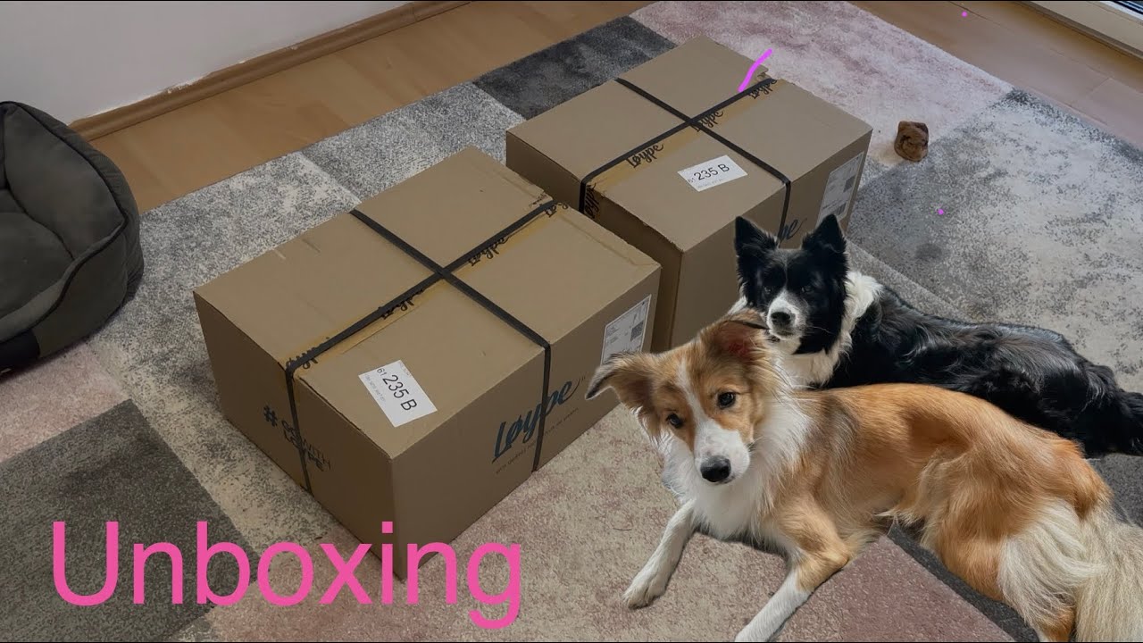 OBŘÍ NÁKUP na Loype.cz - Co jsem nám koupila? Mrkněte na nové UNBOXING video!