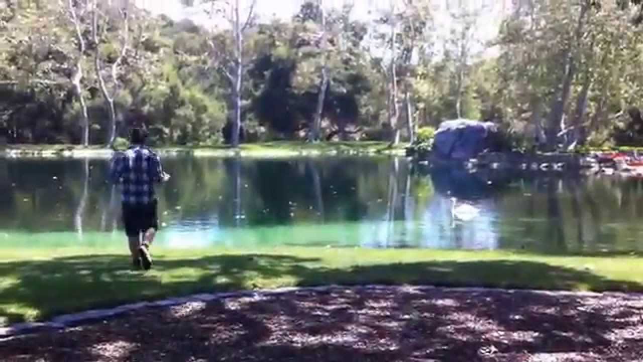 Uma visita ao rancho Neverland
