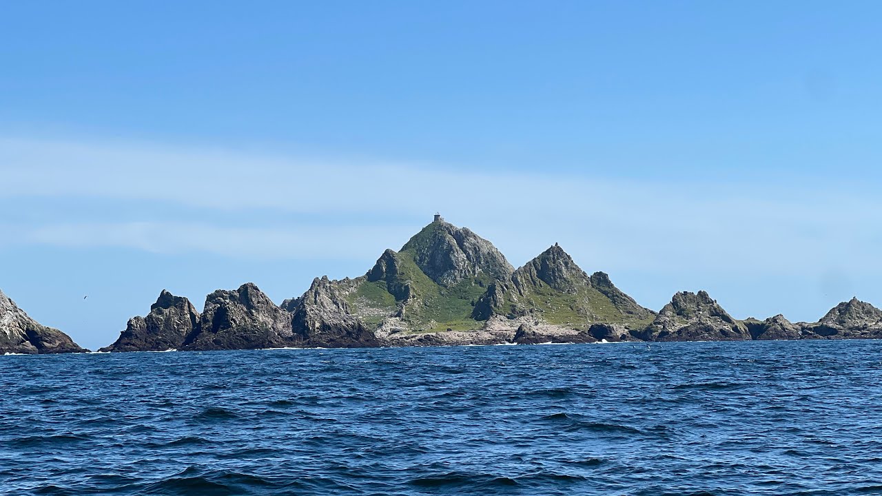 Westsail 32 Tortuga - 2025 Doublehanded Farallones Race