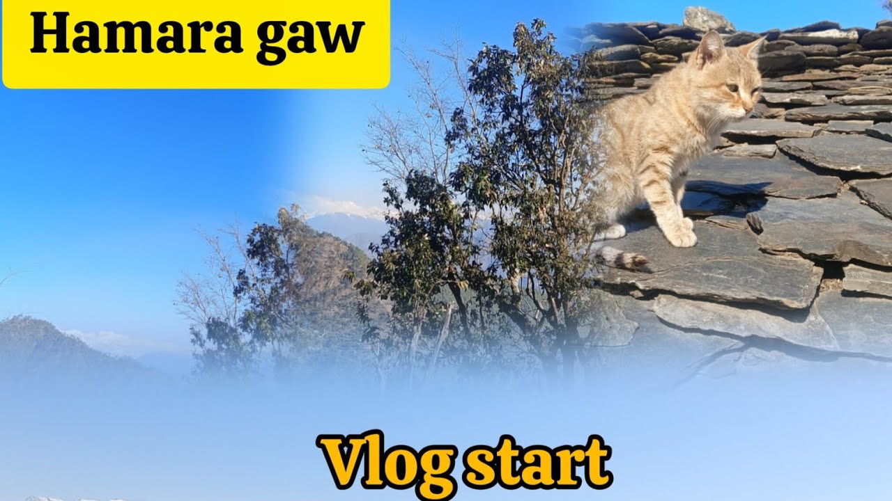 Tragic incident with fishes 🐟 ( मछलियों के साथ ये क्या हुआ )😳😱#views #vlog My first vlog🥲❤️‍🩹