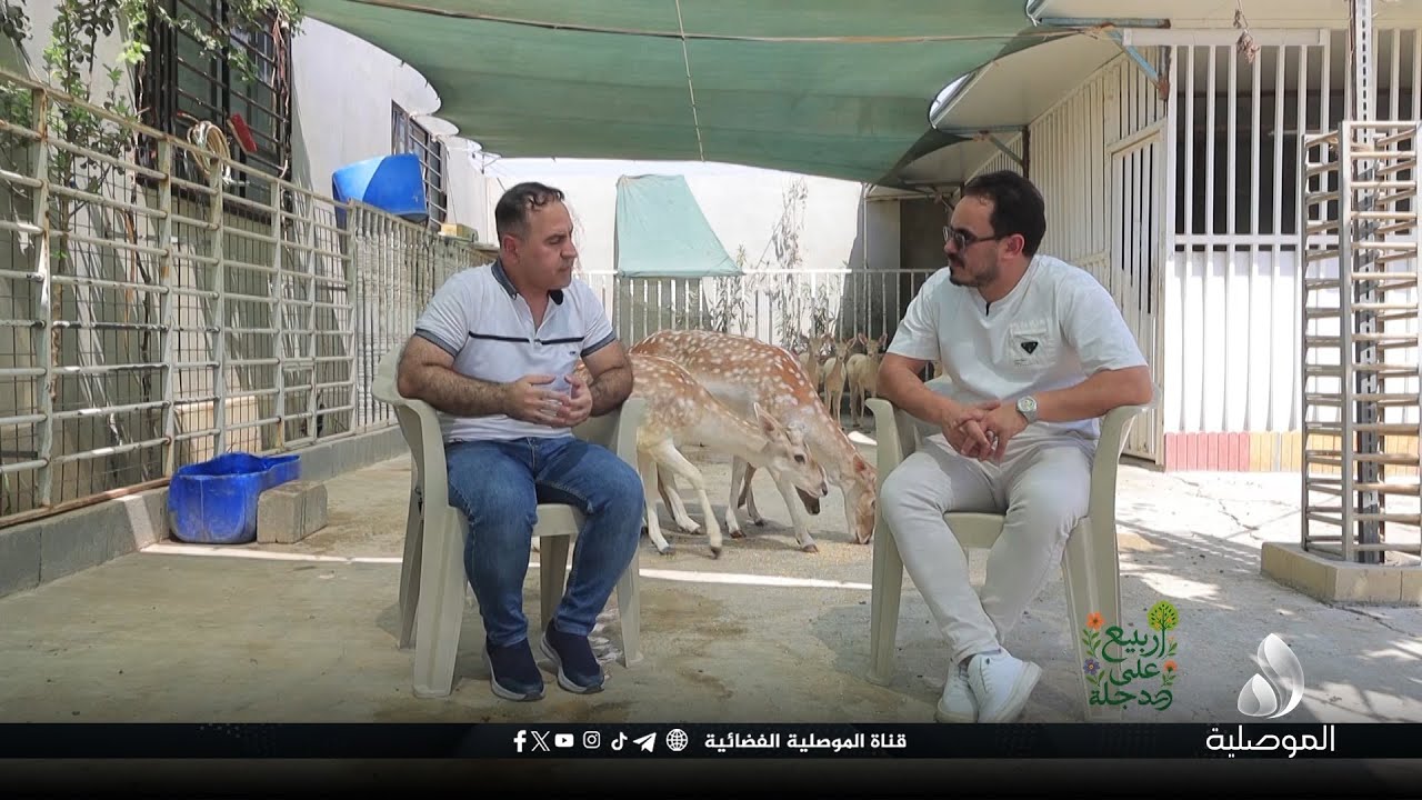 ربيع على دجلة - قضاء تلكيف