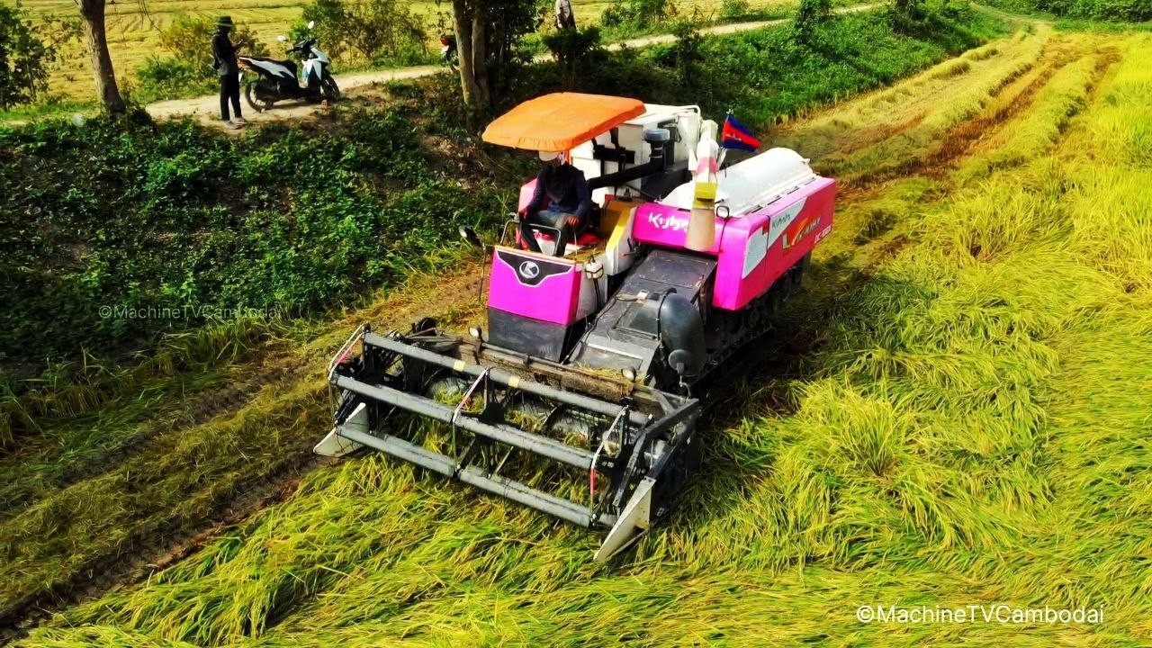 Powerful Combine Harvester New Model DC108X Cutting Rice At Farms Cambodia