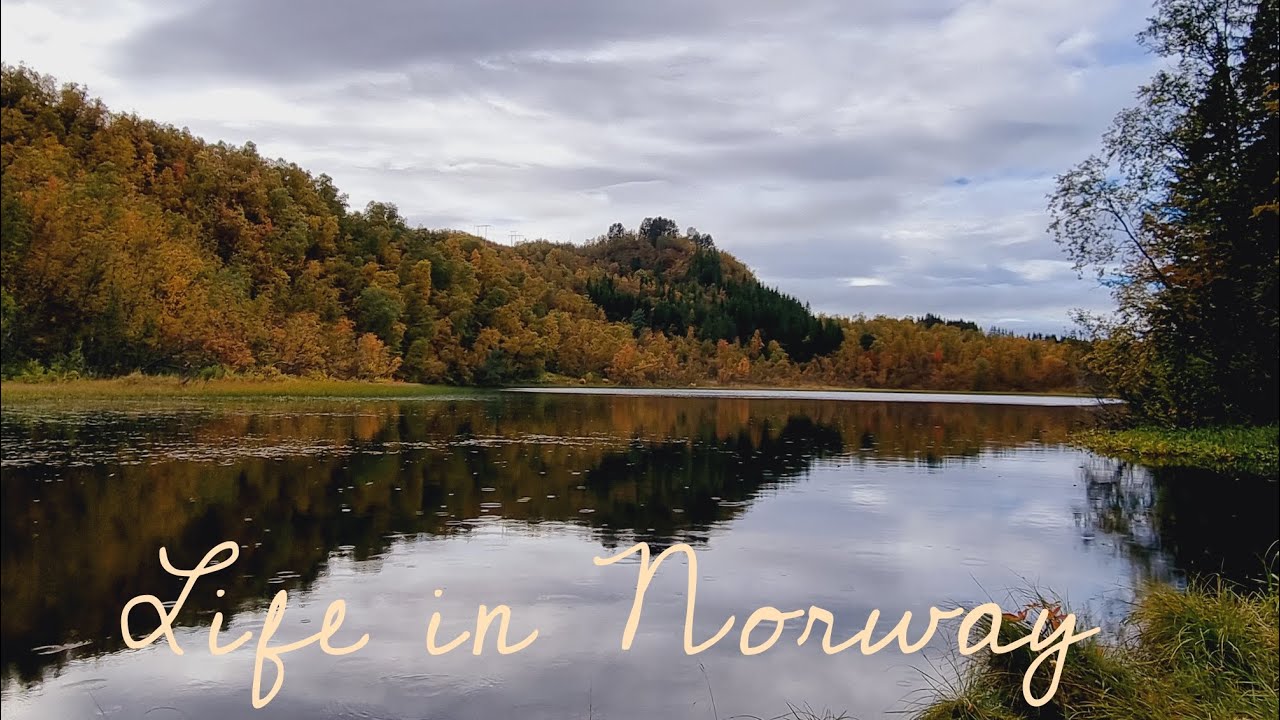 Our first vlog. morning in Northern Norway Harstad