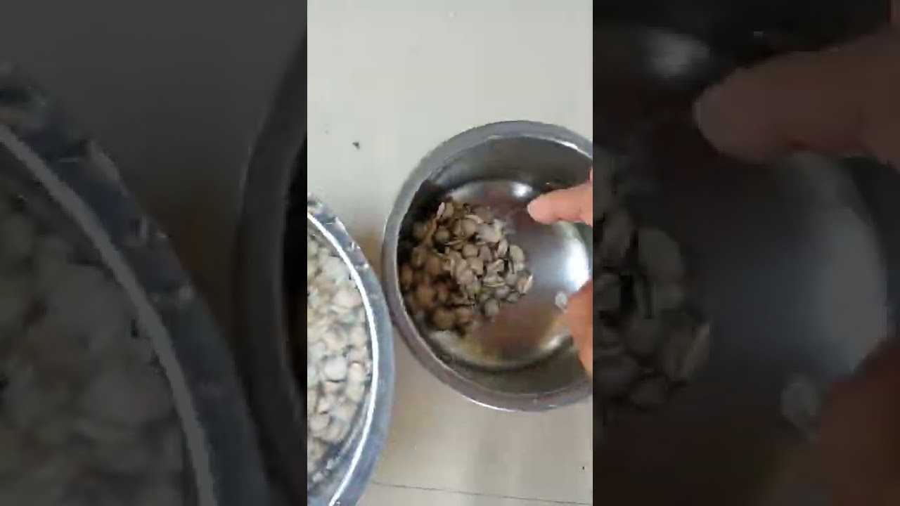കക്കാ ഇറച്ചി എളുപ്പത്തിൽ വൃത്തിയാക്കാം 👍How to clean clam meat/Kakka irachi cleaning Shorts.