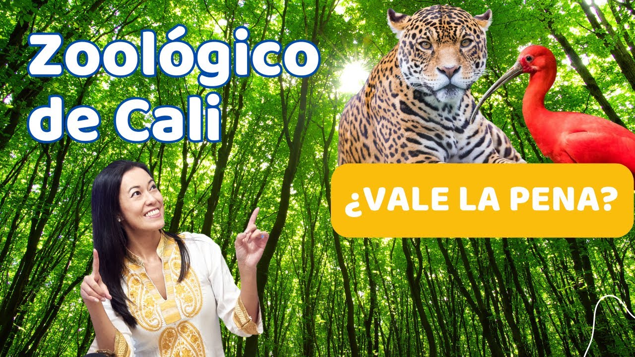 Zoológico de Cali 2025 🦁 | Precios, Horarios, Cómo Llegar y Recorrido Completo