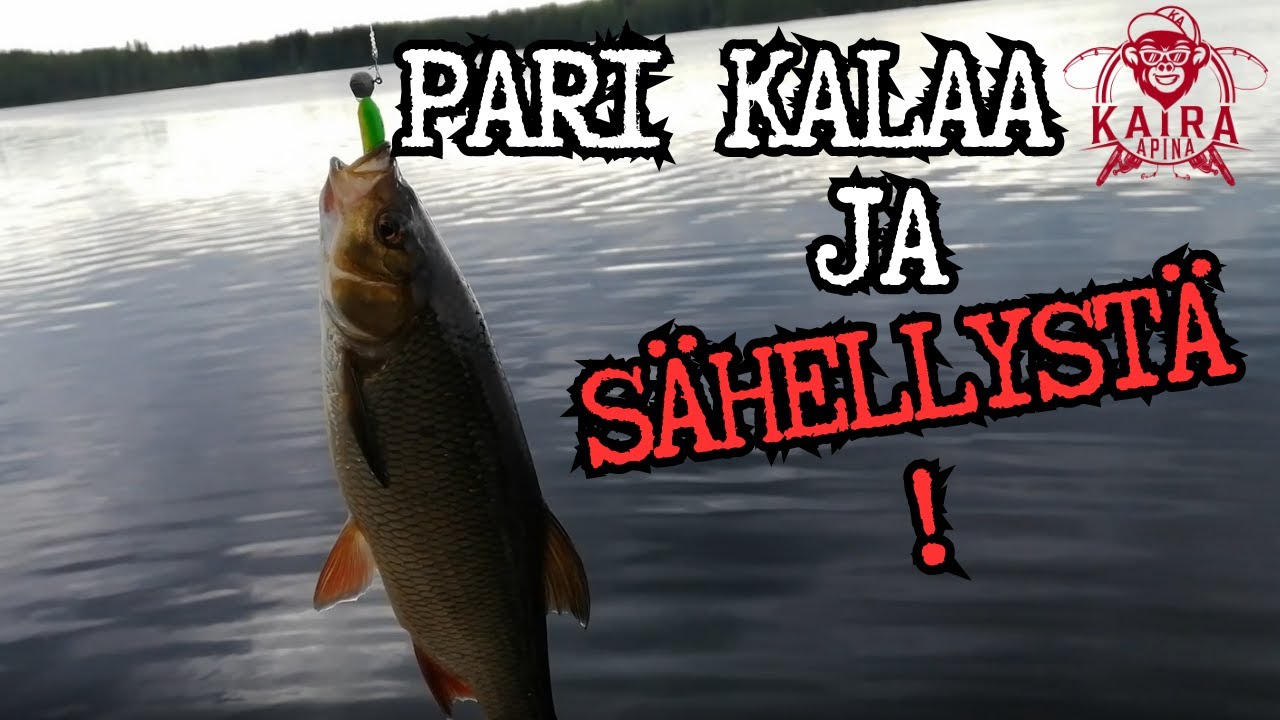 Ahventa, haukea ja peukalo keskellä kämmentä!