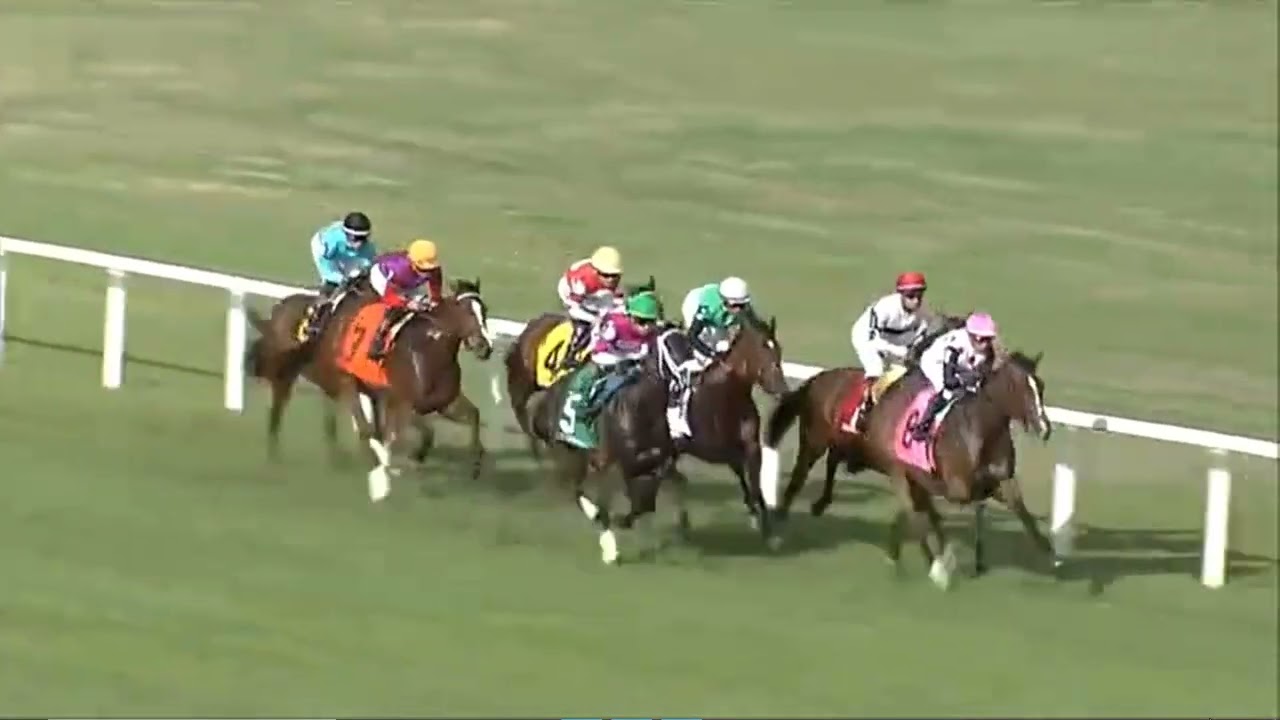 R9  Tampa Bay Downs 07 Mar 2026