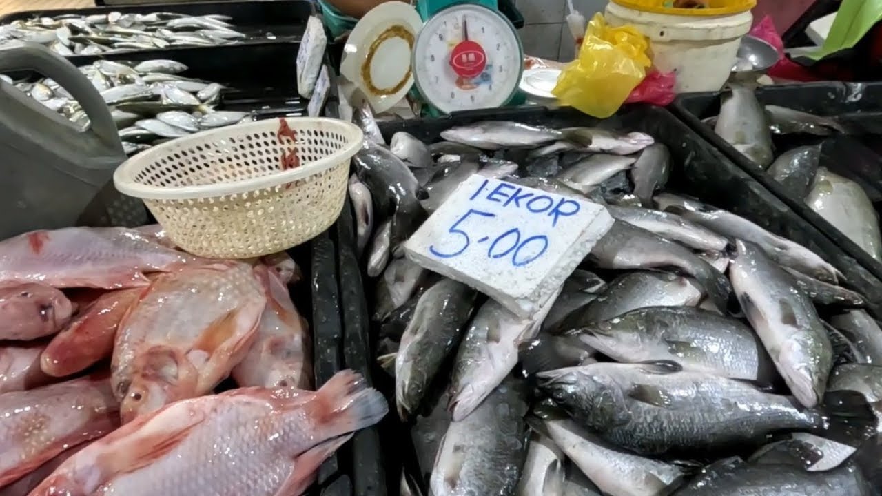 SYURGA IKAN ORANG BANDAR I IKAN SIAKAP SEEKOR RM5.00 I IKAN BAWAL PUTIH SEPINGGAN RM5.00