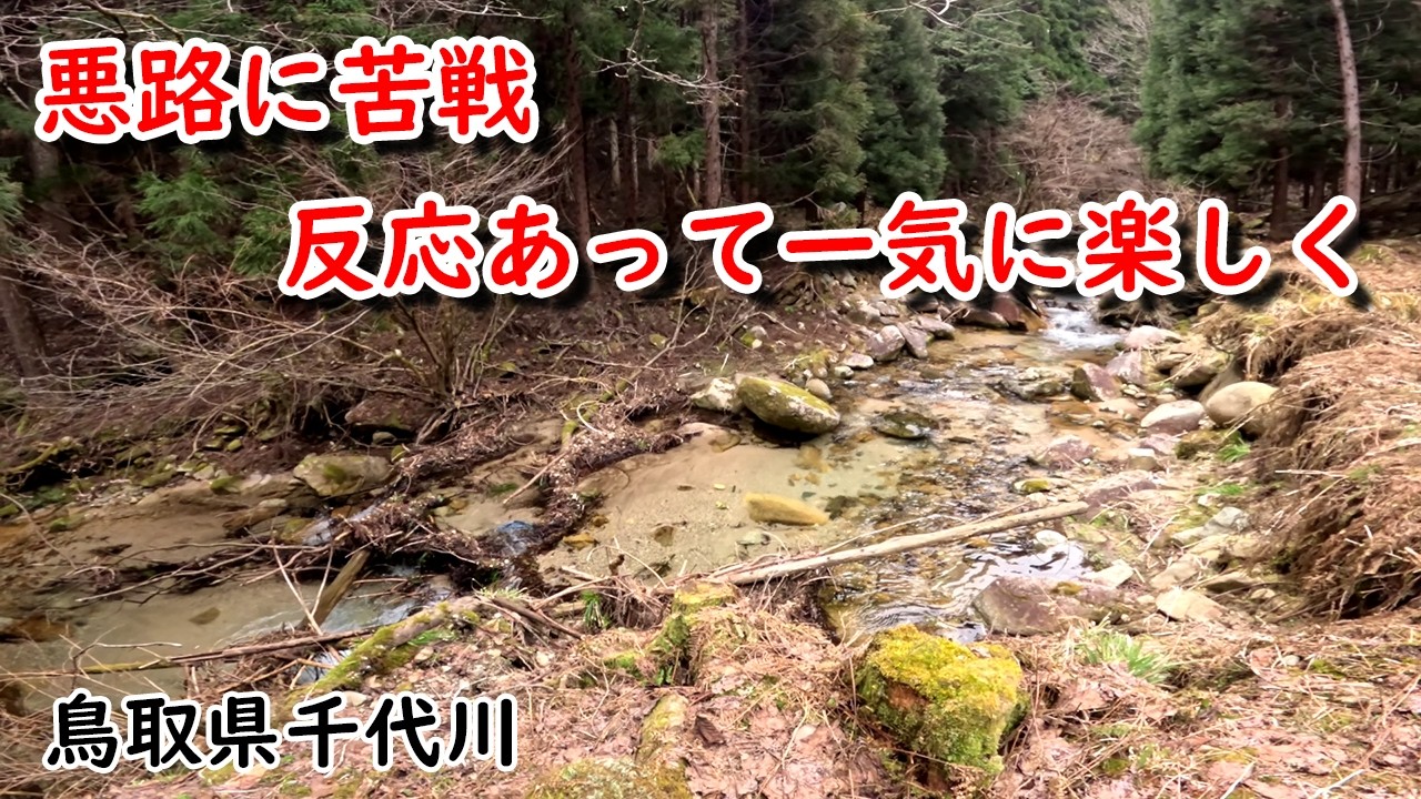 2026年２回目の渓流釣り ルアー＆餌  3月18日 千代川